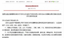 河南车险最新爆料信息,揭秘价格调整与理赔新规！